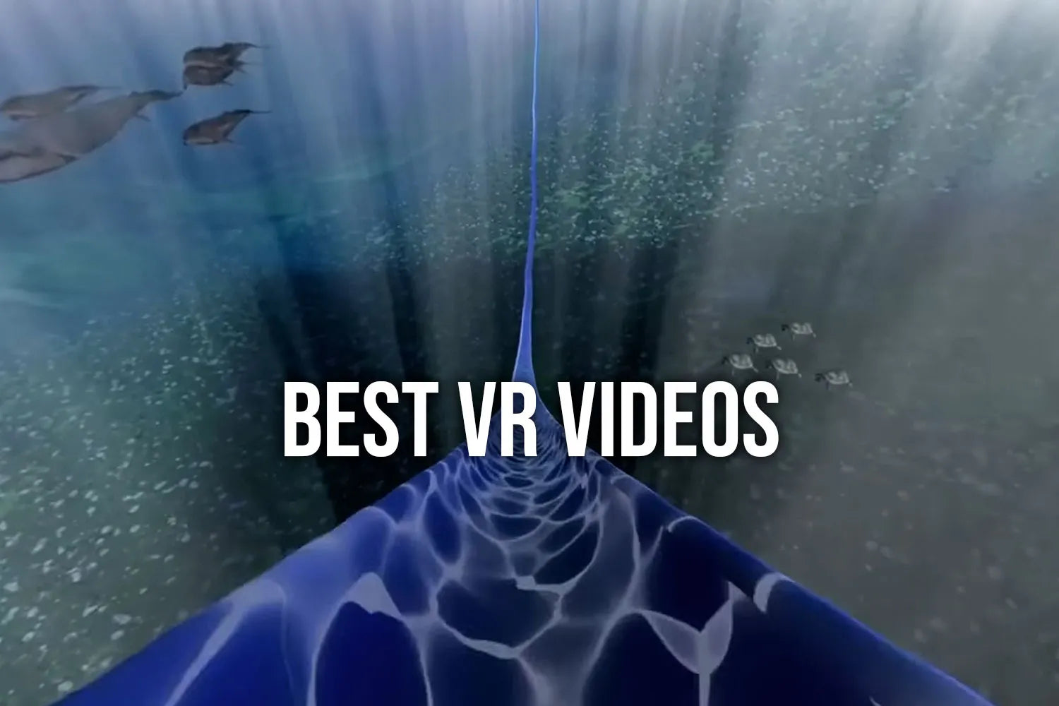Best VR videos